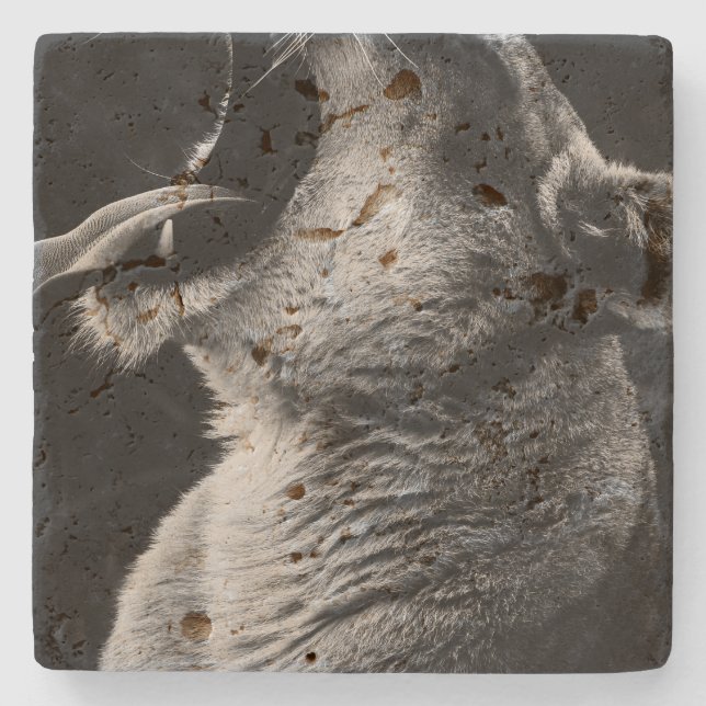 Löwe Steinuntersetzer (Vorderseite)