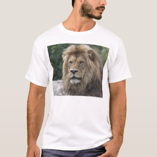 Löwe T-Shirt