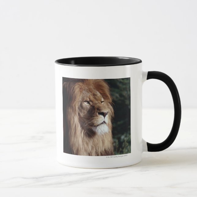 Löwe Tasse (Rechts)