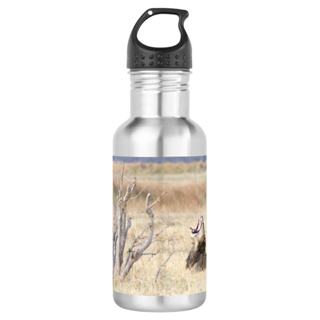 Löwe Trinkflasche (Vorderseite)