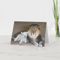 Löwe und das Lamm