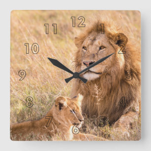 Löwe und ihr Huf Quadratische Wanduhr