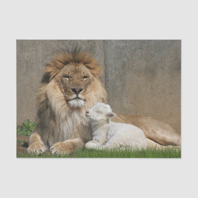 Löwe-und Lamm Weihnachten Seidenpapier (Vorderseite)