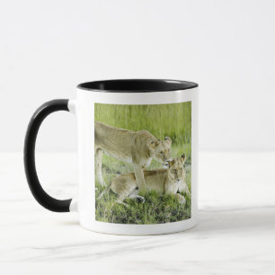 Löwe und Löwin, Afrika Tasse