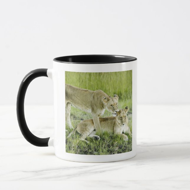Löwe und Löwin, Afrika Tasse (Links)