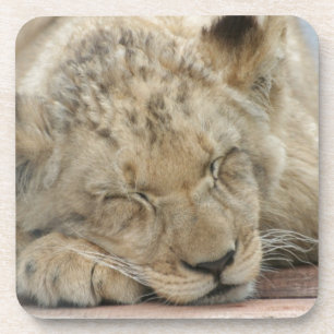 Löwe Untersetzer