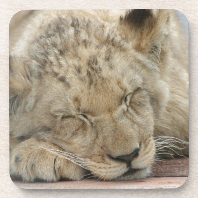Löwe Untersetzer (Vorderseite)