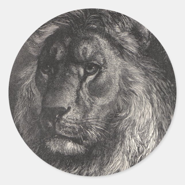 Löwe von judah Aufklebern Runder Aufkleber (Vorderseite)