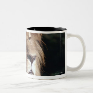 Löwe Zweifarbige Tasse