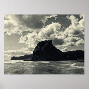 Löwefelsen am piha, redux poster