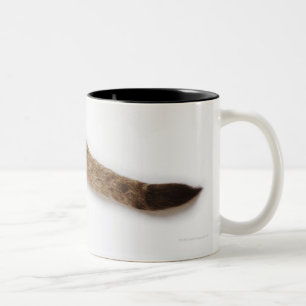 Löwejunges (Panthera Löwe) gegen Weiß Zweifarbige Tasse