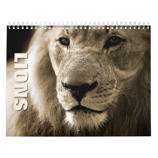 Löwen [1] Mauerkalender Kalender (Titelbild)