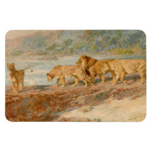 Löwen auf der Bank eines afrikanischen Flusses Magnet