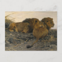 Löwen auf der Lauer von Wilhelm Kuhnert