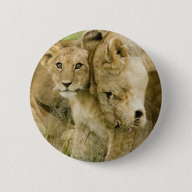 Löwen Button (Vorderseite)