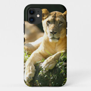 Löwen Case-Mate iPhone Hülle