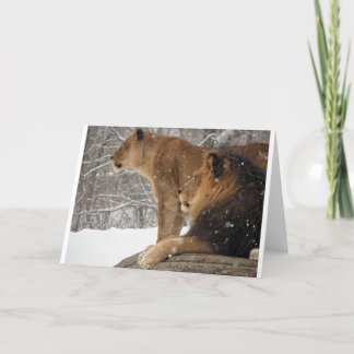 Löwen Feiertagskarte