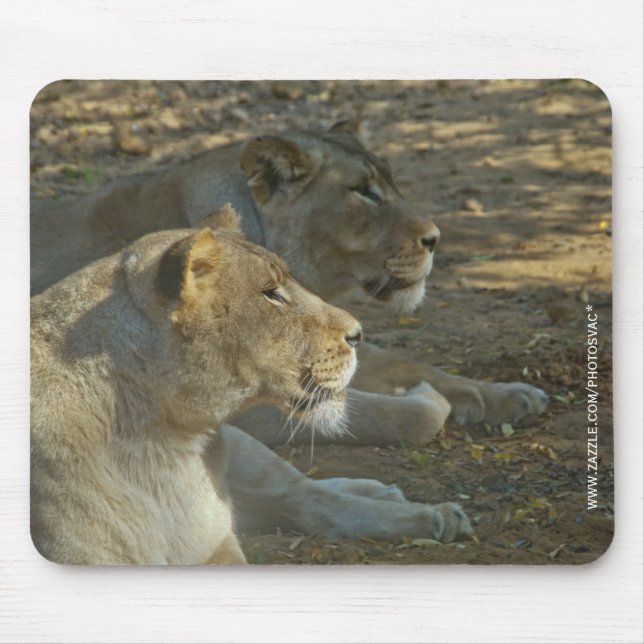 Löwen-Mauspad Mousepad (Vorne)