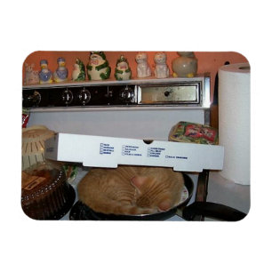 Löwen Pizza-Decke Magnet
