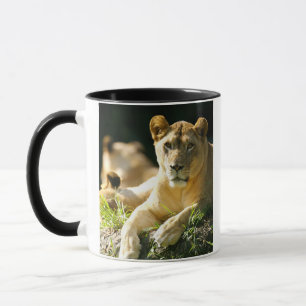 Löwen Tasse