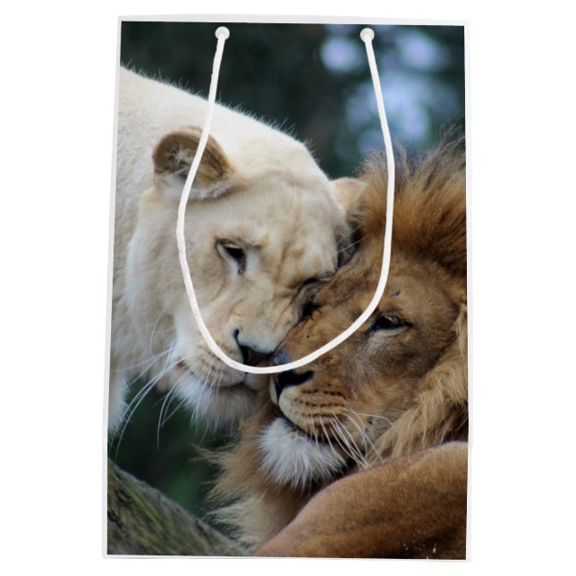 Löwen und Löwen Mittlere Geschenktüte (Rückseite)