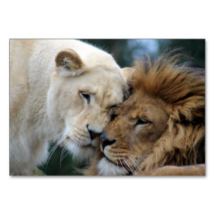 Löwen und Löwen Tischnummer