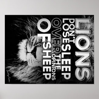 Löwen verlieren nicht den Schlaf wegen der Meinung Poster