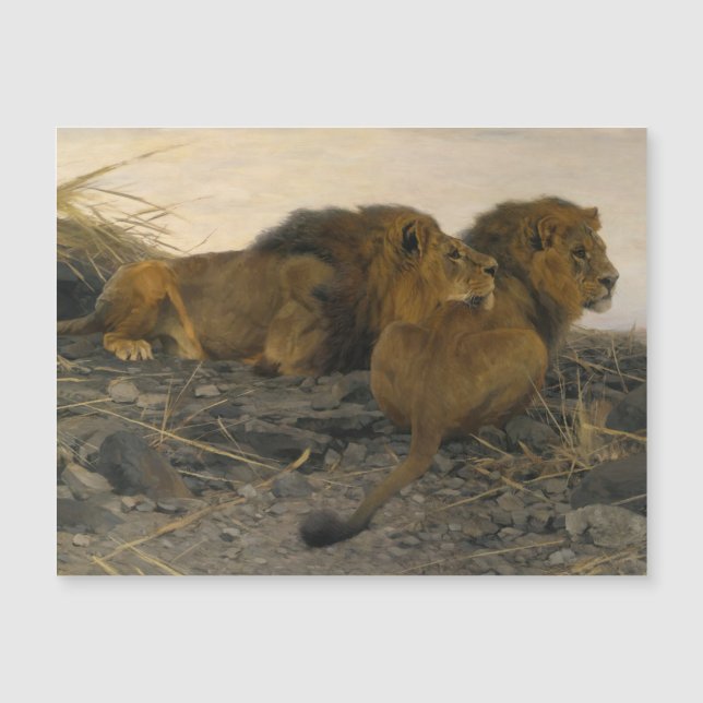 Löwen von Wilhelm Kuhnert Magnetkarte (Vorderseite)