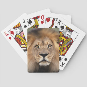 Löwenaufnahme Spielkarten