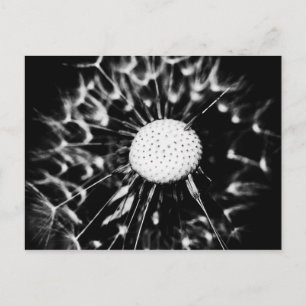 Löwenblacke Postkarte