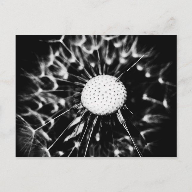 Löwenblacke Postkarte (Vorderseite)