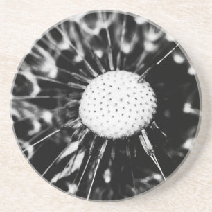 Löwenblacke Untersetzer