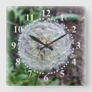 Löwenblüte Quadratische Wanduhr