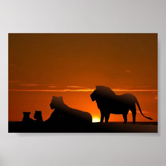 Löwenfamilie Poster (Vorne)