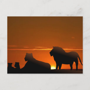 Löwenfamilie Postkarte
