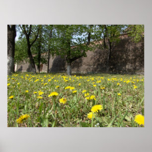 Löwenfeld unter der Stadtmauer Poster