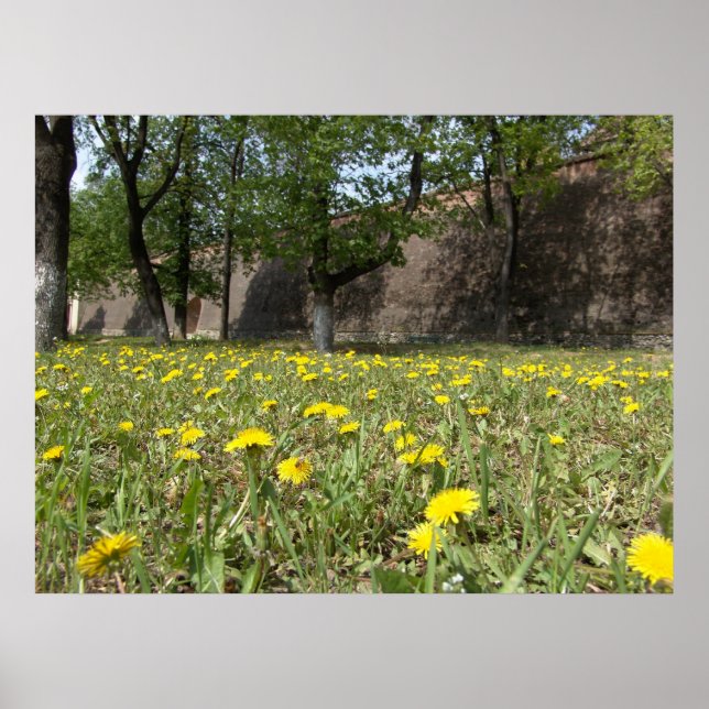 Löwenfeld unter der Stadtmauer Poster (Vorne)