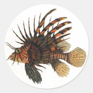 Löwenfisch Fisch, Vintage Meeresleben Tier Runder Aufkleber