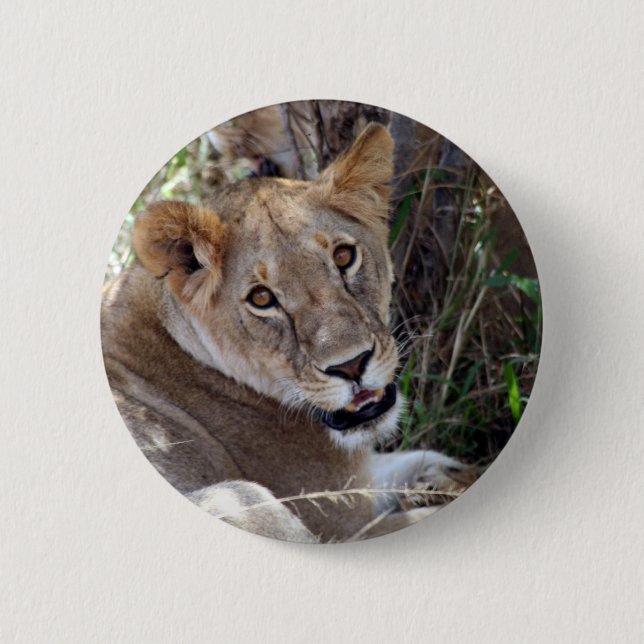 Löwenfront Button (Vorderseite)