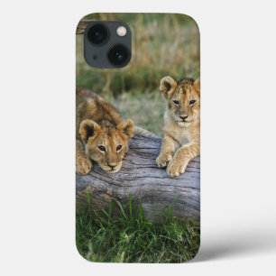 Löwenjunge auf Baumstamm Case-Mate iPhone Hülle