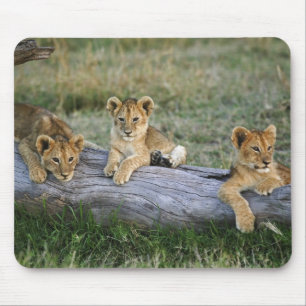 Löwenjunge auf Baumstamm Mousepad