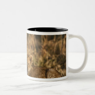 Löwenjunge auf Baumstamm Zweifarbige Tasse