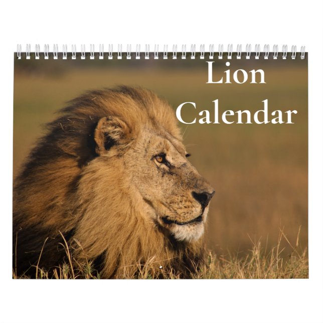 Löwenkalender 2025 kalender (Titelbild)