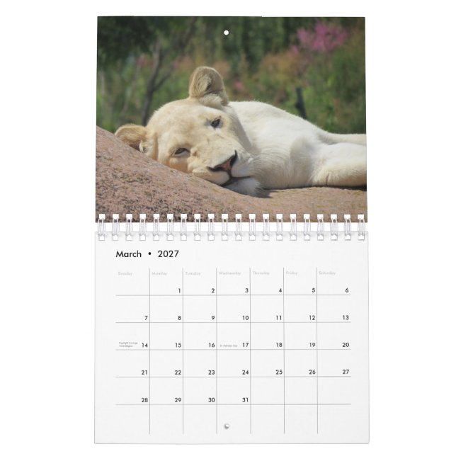 Löwenkalender Kalender (Mär 2027)