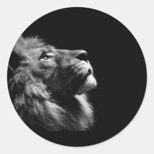 Löwenkleber Runder Aufkleber