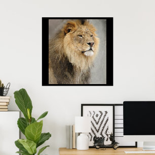 Löwenkönig des Dschungels Poster