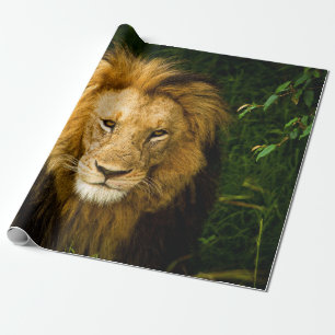 LÖWENKÖNIG IM Dschungel Geschenkpapier