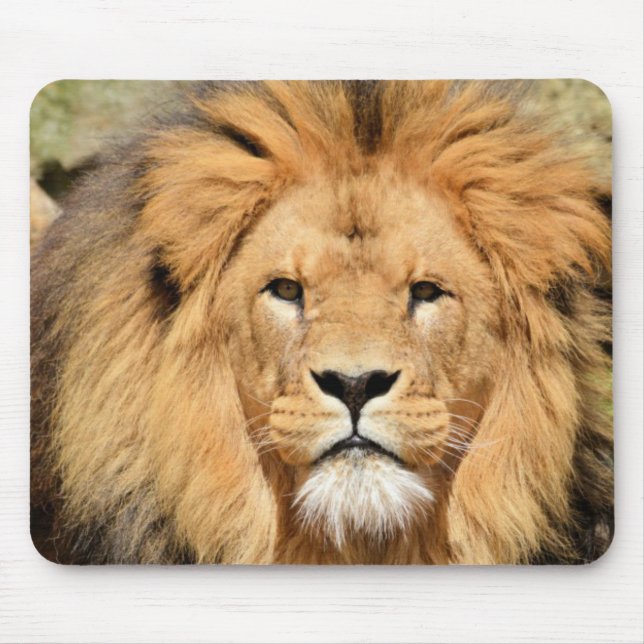 Löwenkopf Mousepad (Vorne)