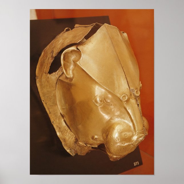 Löwenkopf Poster (Vorne)