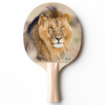 Löwenmajestätisches Wildtierportrait